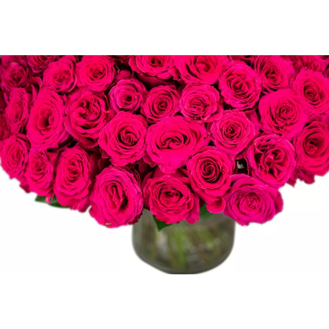 Bouquet of pink roses